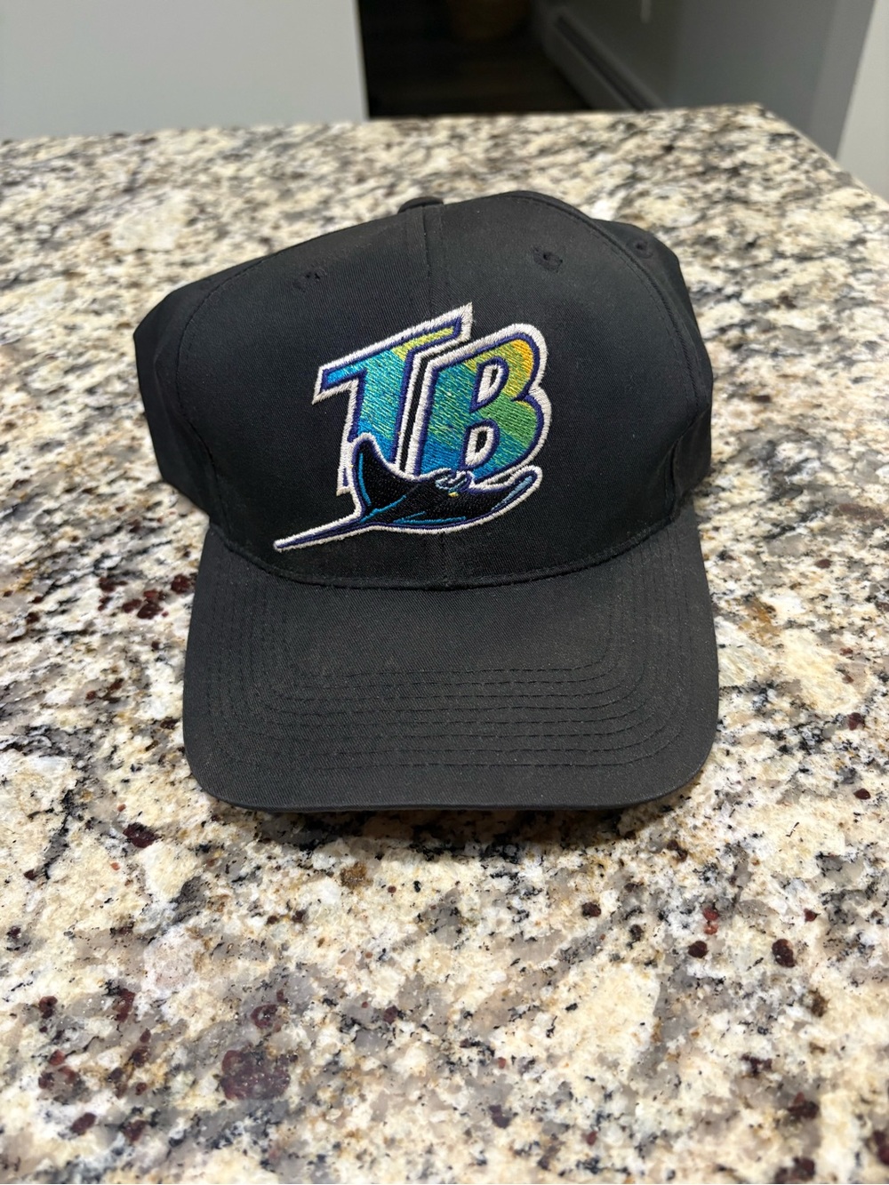 Vintage 90s Tampa Bay Devil Rays MLB Snapback Baseball Hat Original TB Logo